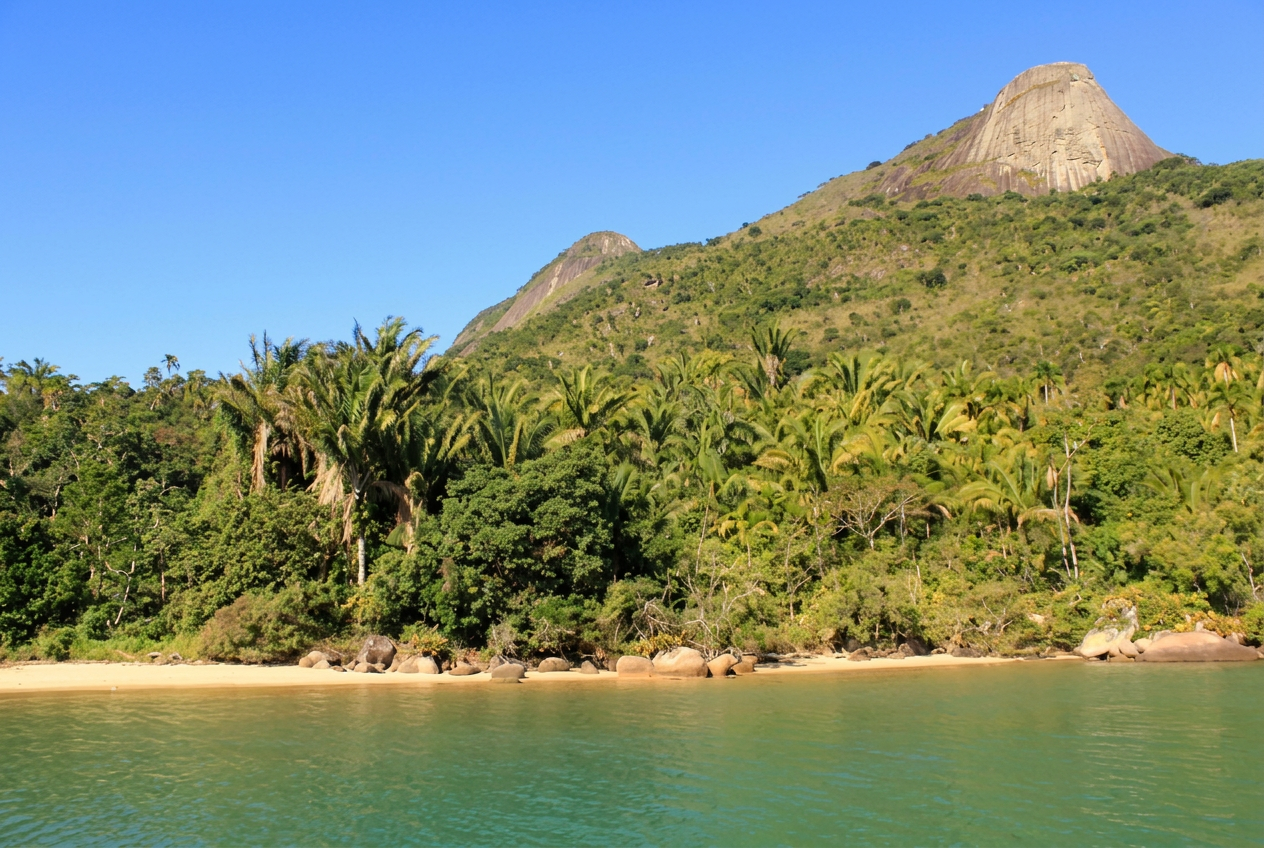 Pico do Pão de Açúcar acima da mata e do mar do Mamanguá